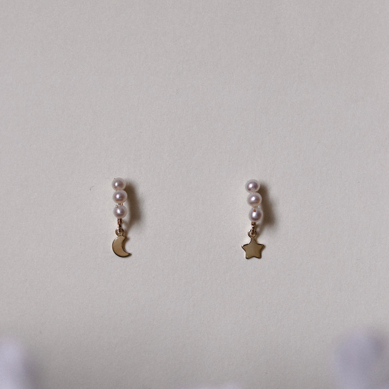Moon & Star Hook Earrings