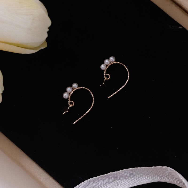 Moon & Star Hook Earrings